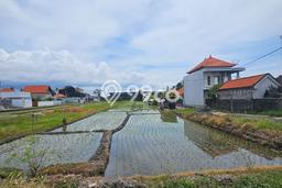 Disewakan Tanah Lokasi Strategis di Cemagi Badung 5000m2 Disewakan Tanah Lokasi Strategis di Cemagi Badung 5000m2