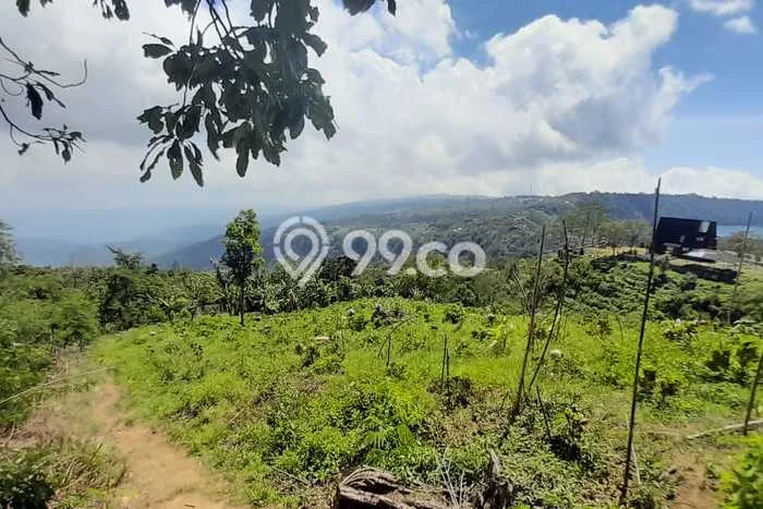 Tanah Dijual Area Strategis di Munduk Buleleng 18850m2 Tanah Dijual Area Strategis di Munduk Buleleng 18850m2