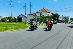 Untuk Disewa Tanah di Dalung Badung Seluas 1730m2 Untuk Disewa Tanah di Dalung Badung Seluas 1730m2