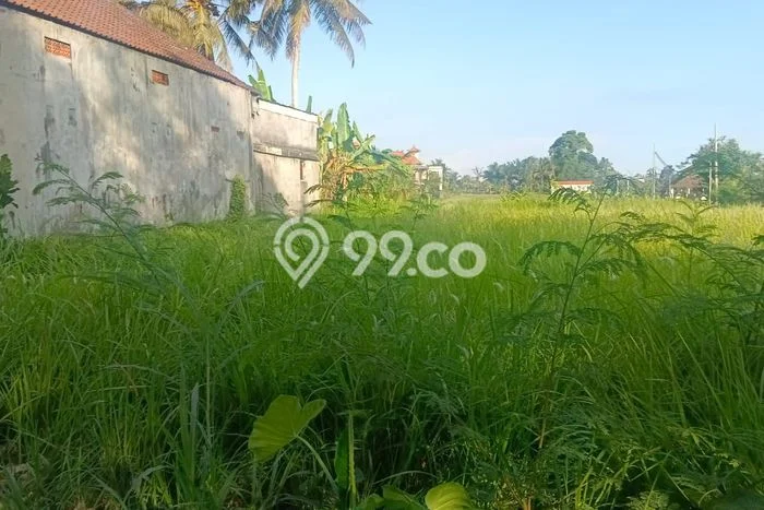 Tanah Strategis Disewakan di Ubud Gianyar Seluas 4893m2 Tanah Strategis Disewakan di Ubud Gianyar Seluas 4893m2
