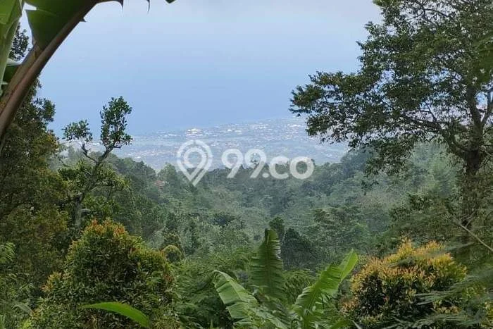 Kavling Tanah Dijual di Buleleng, Buleleng, Luas 30000m2 Area Strategis Kavling Tanah Dijual di Buleleng, Buleleng, Luas 30000m2 Area Strategis