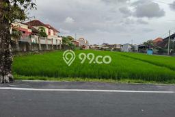 Tanah Disewa di Canggu Strategis dan Memiliki Luas 4083m2 Tanah Disewa di Canggu Strategis dan Memiliki Luas 4083m2