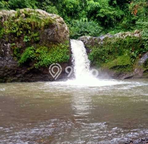 Tanah Dijual Lokasi Buleleng, Buleleng Luas 110000m2 Legalitas Aman Tanah Dijual Lokasi Buleleng, Buleleng Luas 110000m2 Legalitas Aman