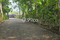 Tanah Disewa Strategis di Badung Luas 10000m2 Tanah Disewa Strategis di Badung Luas 10000m2