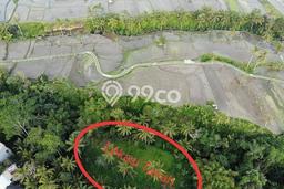 Tanah Dijual Lokasi Gianyar Gianyar SHM Tanah Dijual Lokasi Gianyar Gianyar SHM