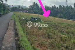 Lahan Kosong Dijual di Tabanan, Tabanan, Luas 7200m2 Area Strategis Lahan Kosong Dijual di Tabanan, Tabanan, Luas 7200m2 Area Strategis