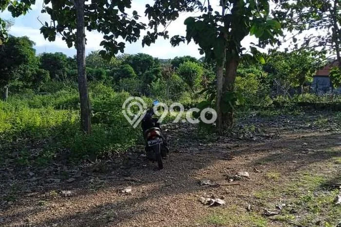 Tanah Disewa di Jimbaran Strategis dan Memiliki Luas 3000m2 Tanah Disewa di Jimbaran Strategis dan Memiliki Luas 3000m2
