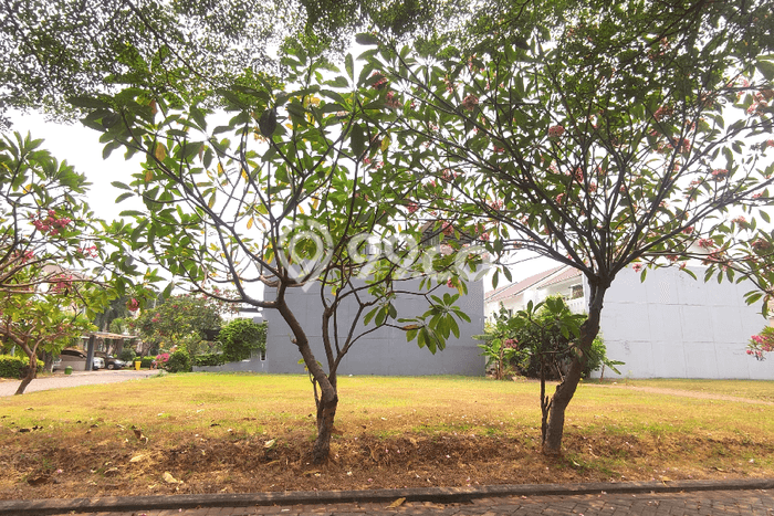 Kavling Tanah Dijual di Cakung Jakarta Timur Spesifikasi 273m2 Kavling Tanah Dijual di Cakung Jakarta Timur Spesifikasi 273m2