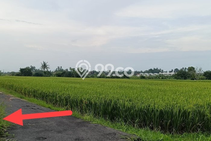 Tanah Investasi Dijual di Tabanan Punya Luas 250m2 Tanah Investasi Dijual di Tabanan Punya Luas 250m2