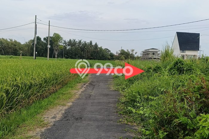 Tanah Investasi Dijual di Tabanan Punya Luas 250m2 Tanah Investasi Dijual di Tabanan Punya Luas 250m2