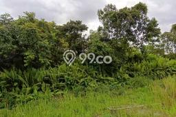 Untuk Dijual Tanah di Marpoyan Damai Pekanbaru Luas 1575m2 SHM Untuk Dijual Tanah di Marpoyan Damai Pekanbaru Luas 1575m2 SHM