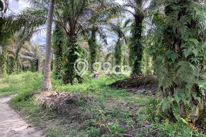 Lahan Strategis di Rumbai Dijual dengan Luas 14346m2 Lahan Strategis di Rumbai Dijual dengan Luas 14346m2
