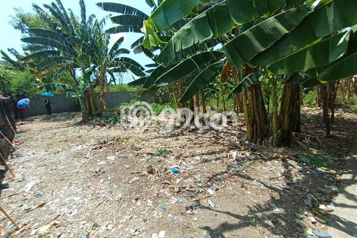Tanah Siap Bangun Dijual di Semarang Punya Luas 519m2 Tanah Siap Bangun Dijual di Semarang Punya Luas 519m2