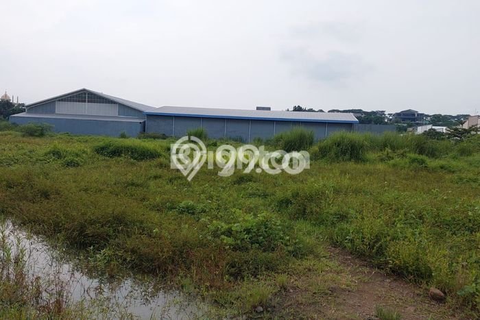 Tanah di Ngaliyan, Semarang Luas 6050m2 Dijual Segera Tanah di Ngaliyan, Semarang Luas 6050m2 Dijual Segera