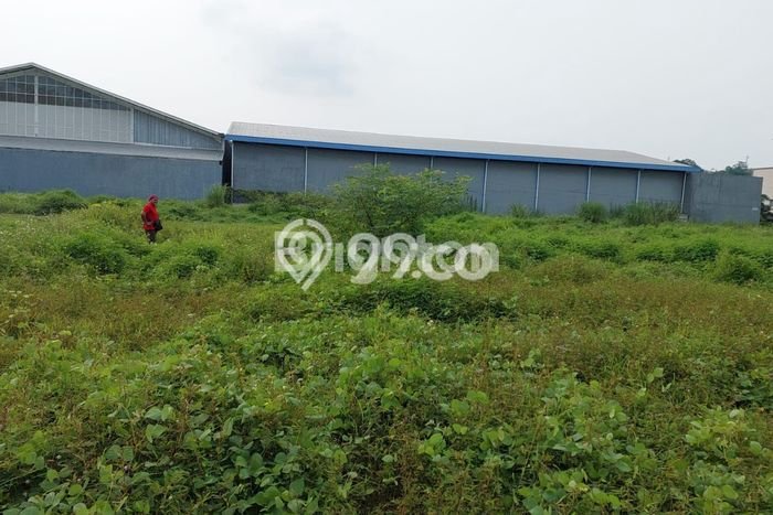 Tanah di Ngaliyan, Semarang Luas 6050m2 Dijual Segera Tanah di Ngaliyan, Semarang Luas 6050m2 Dijual Segera