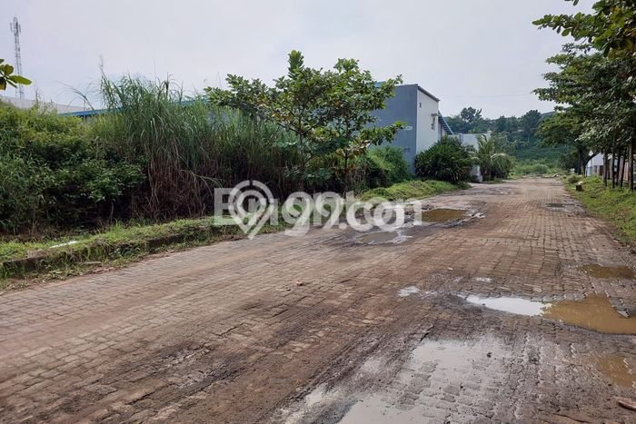 Tanah di Ngaliyan, Semarang Luas 6050m2 Dijual Segera Tanah di Ngaliyan, Semarang Luas 6050m2 Dijual Segera