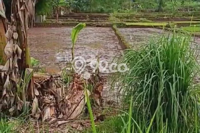 Tanah Dijual Lokasi Cilaku, Cianjur Luas 70000m2 Legalitas Aman Tanah Dijual Lokasi Cilaku, Cianjur Luas 70000m2 Legalitas Aman