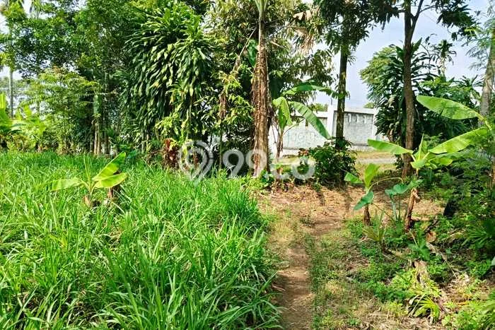 Tanah Kavling di Cicurug Dijual dengan Luas 6000m2 Tanah Kavling di Cicurug Dijual dengan Luas 6000m2