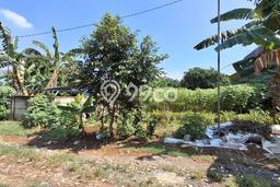 Tanah Dijual di Bogor Seluas 1000m2 Strategis Tanah Dijual di Bogor Seluas 1000m2 Strategis