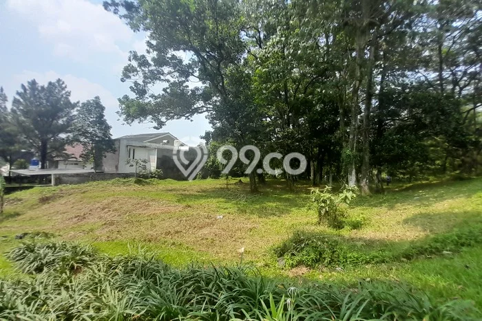Tanah Kavling Dijual di Cijayanti, Bogor dengan Luas Tanah 1643m2 Tanah Kavling Dijual di Cijayanti, Bogor dengan Luas Tanah 1643m2