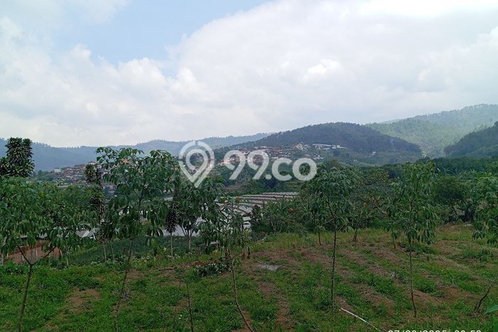 For Sale Tanah Kawasan Batu, Luas 3012m2m², Akses Batu, Batu, Batu For Sale Tanah Kawasan Batu, Luas 3012m2m², Akses Batu, Batu, Batu