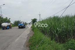 Tanah Kavling untuk Dijual di Trowulan Mojokerto 35000m2 Tanah Kavling untuk Dijual di Trowulan Mojokerto 35000m2