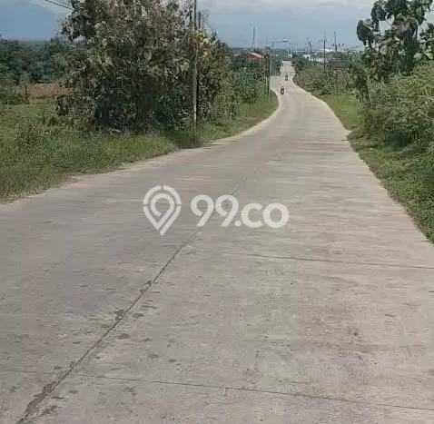 Lahan Dijual Lokasi Jetis, Mojokerto dengan Luas Tanah 4165m2 dan Status SHM Lahan Dijual Lokasi Jetis, Mojokerto dengan Luas Tanah 4165m2 dan Status SHM