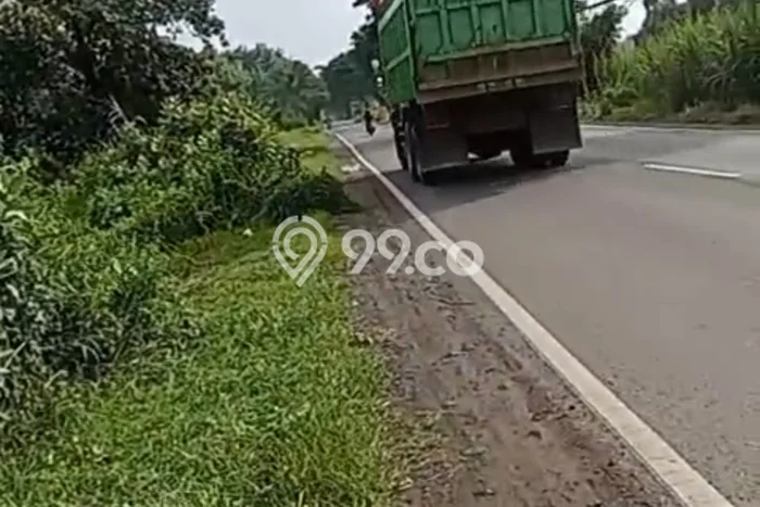 Tanah di Pasrepan, Pasuruan Luas 10000m2 Dijual Segera Tanah di Pasrepan, Pasuruan Luas 10000m2 Dijual Segera