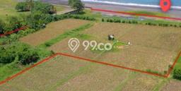 Tanah Dijual Lokasi Gianyar, Gianyar Luas 15000m2 Legalitas Aman Tanah Dijual Lokasi Gianyar, Gianyar Luas 15000m2 Legalitas Aman