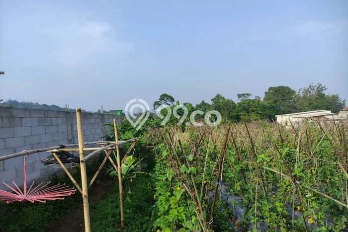 Jarang Ada! Tanah di Caringin Punya Luas 1500m2 SHM Jarang Ada! Tanah di Caringin Punya Luas 1500m2 SHM