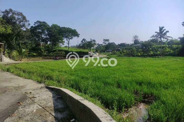 Kavling Tanah di Caringin Dijual Luas 2000m2 Legalitas - Kavling Tanah di Caringin Dijual Luas 2000m2 Legalitas -
