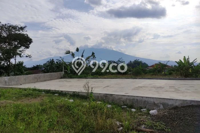 Kavling Tanah Dijual di Caringin Bogor Spesifikasi 2378m2 Kavling Tanah Dijual di Caringin Bogor Spesifikasi 2378m2