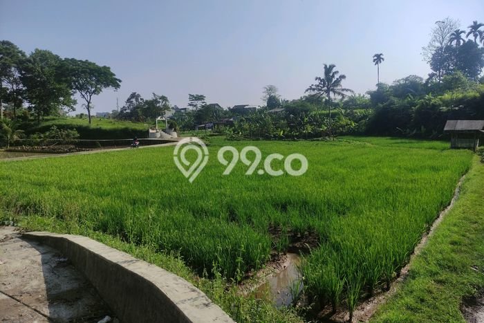 Kavling Tanah di Caringin Dijual Luas 2000m2 Legalitas - Kavling Tanah di Caringin Dijual Luas 2000m2 Legalitas -