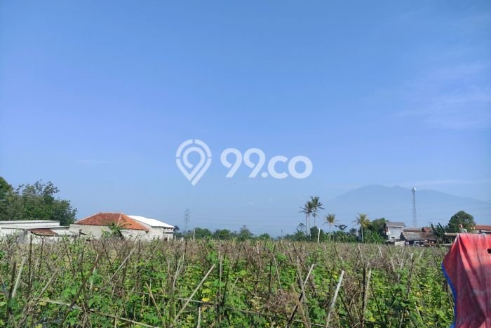 Jarang Ada! Tanah di Caringin Punya Luas 1500m2 SHM Jarang Ada! Tanah di Caringin Punya Luas 1500m2 SHM