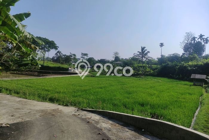 Kavling Tanah di Caringin Dijual Luas 2000m2 Legalitas - Kavling Tanah di Caringin Dijual Luas 2000m2 Legalitas -