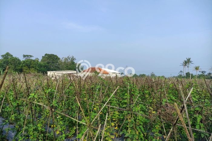 Jarang Ada! Tanah di Caringin Punya Luas 1500m2 SHM Jarang Ada! Tanah di Caringin Punya Luas 1500m2 SHM