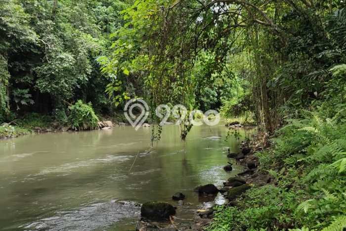 Dijual Tanah di Gianyar, Luas 5954m2 SHM Dijual Tanah di Gianyar, Luas 5954m2 SHM