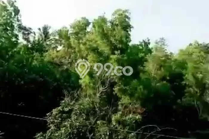 Rumah Minimalis di Klungkung Dekat Sekolah Rumah Minimalis di Klungkung Dekat Sekolah