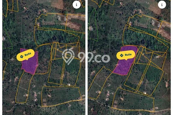 Dijual Tanah Lokasi Singaraja, Buleleng Seluas 100000m2 Dijual Tanah Lokasi Singaraja, Buleleng Seluas 100000m2
