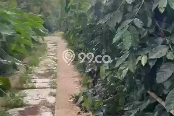 Dijual Tanah Lokasi Singaraja, Buleleng Seluas 100000m2 Dijual Tanah Lokasi Singaraja, Buleleng Seluas 100000m2