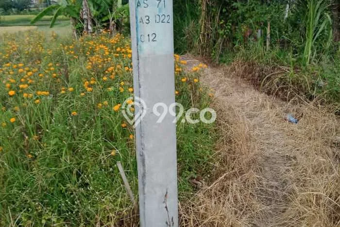Dijual Tanah Lokasi Sibang Gede, Badung Seluas 2200m2 Dijual Tanah Lokasi Sibang Gede, Badung Seluas 2200m2