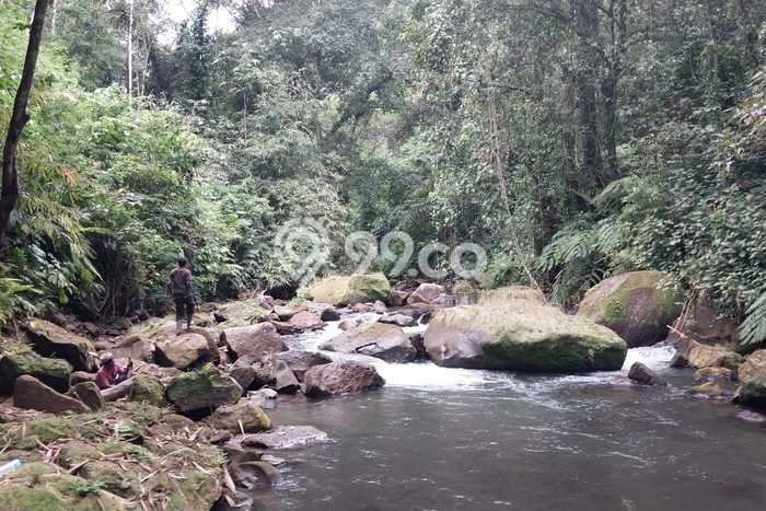 Dijual Tanah Lokasi Caubelayu, Tabanan Seluas 9200m2 Dijual Tanah Lokasi Caubelayu, Tabanan Seluas 9200m2