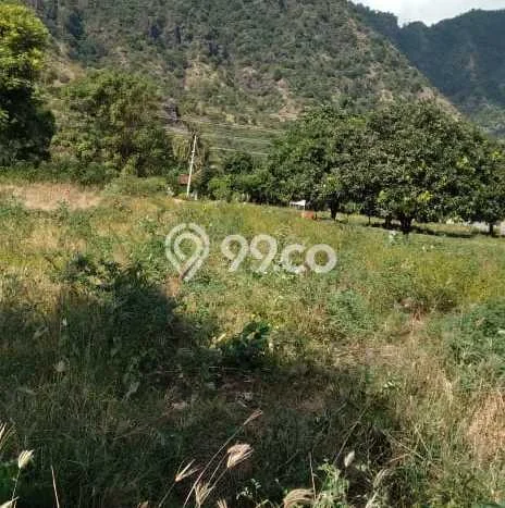 Tanah Siap Bangun Dijual di Buleleng Punya Luas 4270m2 Tanah Siap Bangun Dijual di Buleleng Punya Luas 4270m2