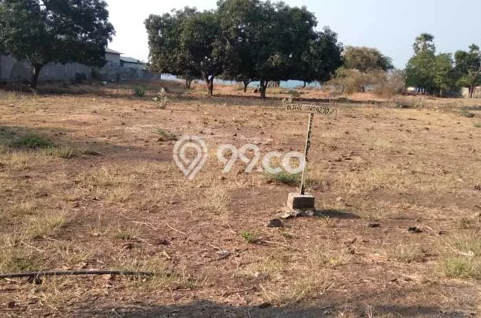 Tanah Siap Bangun Dijual di Buleleng Punya Luas 4270m2 Tanah Siap Bangun Dijual di Buleleng Punya Luas 4270m2