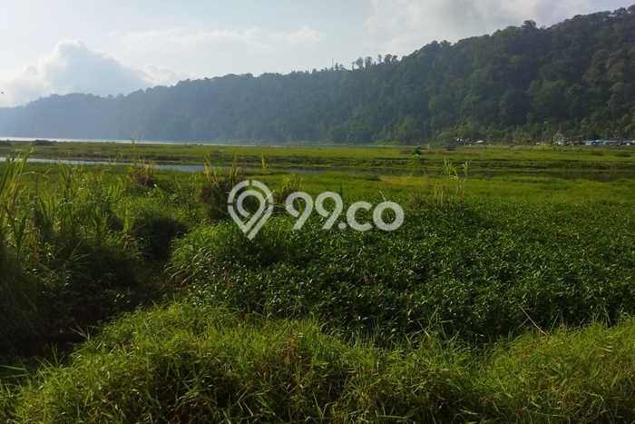 Kavling Tanah Dijual di Sukasada, Buleleng, Luas 4200m2 Area Strategis Kavling Tanah Dijual di Sukasada, Buleleng, Luas 4200m2 Area Strategis