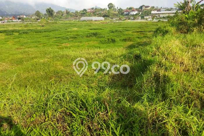 Kavling Tanah Dijual di Sukasada, Buleleng, Luas 4200m2 Area Strategis Kavling Tanah Dijual di Sukasada, Buleleng, Luas 4200m2 Area Strategis