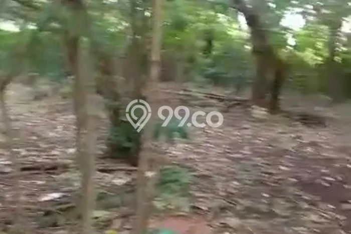 Tanah Dijual Lokasi Strategis di Badung dengan Luas 1162m2 Tanah Dijual Lokasi Strategis di Badung dengan Luas 1162m2