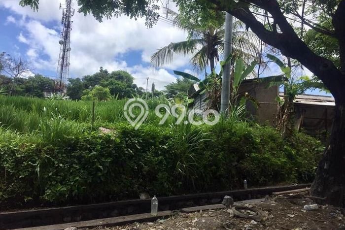 Kavling Tanah untuk Dijual di Tulikup, Gianyar, Luas 2000m2 Kavling Tanah untuk Dijual di Tulikup, Gianyar, Luas 2000m2