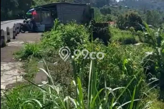 Dijual Tanah di Kintamani Bangli Luas 6000m2 SHM Dijual Tanah di Kintamani Bangli Luas 6000m2 SHM