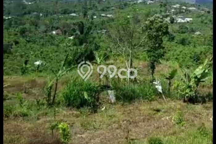 Dijual Tanah di Kintamani Bangli Luas 6000m2 SHM Dijual Tanah di Kintamani Bangli Luas 6000m2 SHM